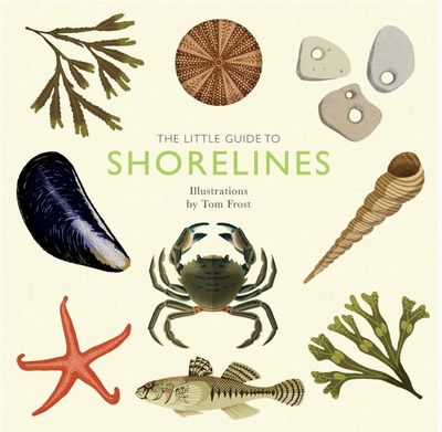 The Little Guide To Shorelines