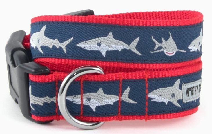Jaws collar