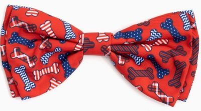 Preppy Bones Bow Tie - Red
