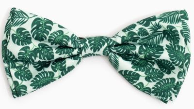 Tropical Leaves Bow Tie