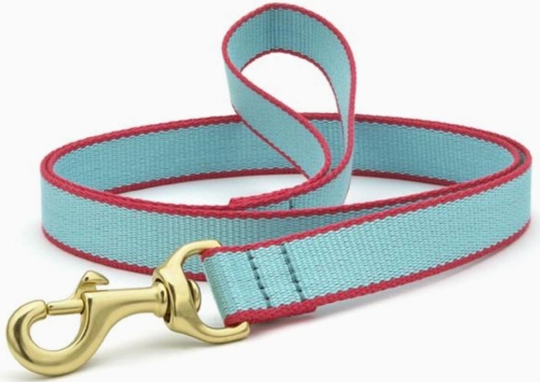 Color Market Dog Leash