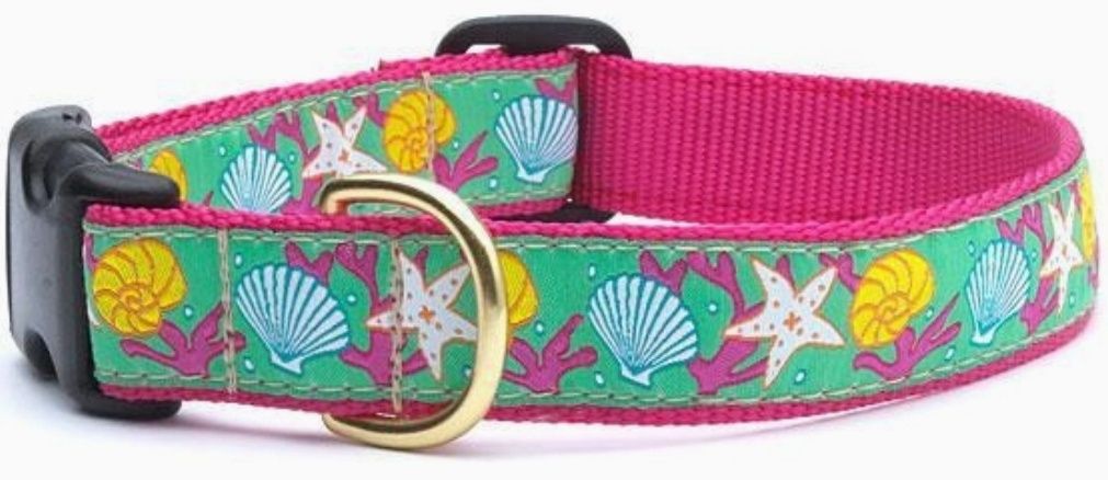 Reef Dog Collar