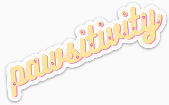 Pawsitivity Sticker