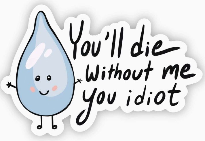 &quot;You Will Die Without Me You Idiot&quot; Water Sticker