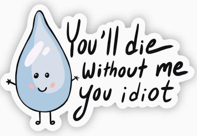 &quot;You Will Die Without Me You Idiot&quot; Water Sticker