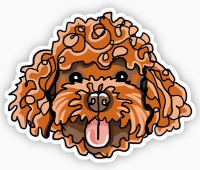 Goldendoodle Sticker
