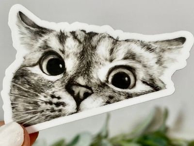 Peeking Cat Stickers