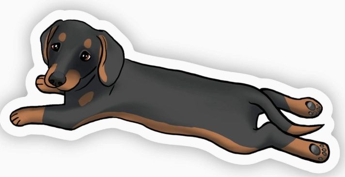 Dachshund Dog Sticker