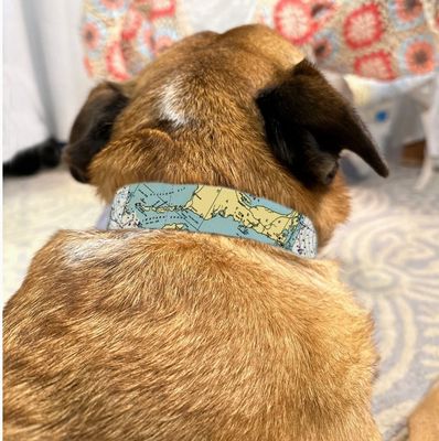 Sanibel Map Dog Collar