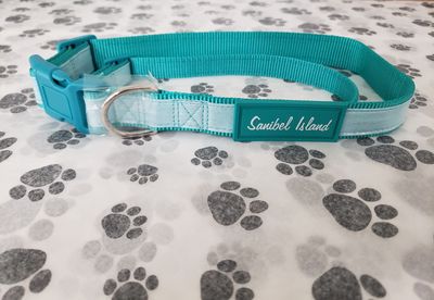 Turquoise Sanibel Dog Collar
