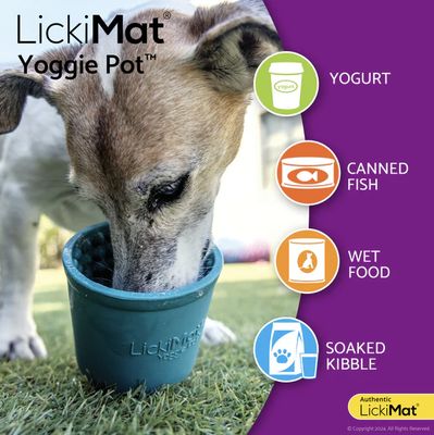 LickiMat Yoggie Pot