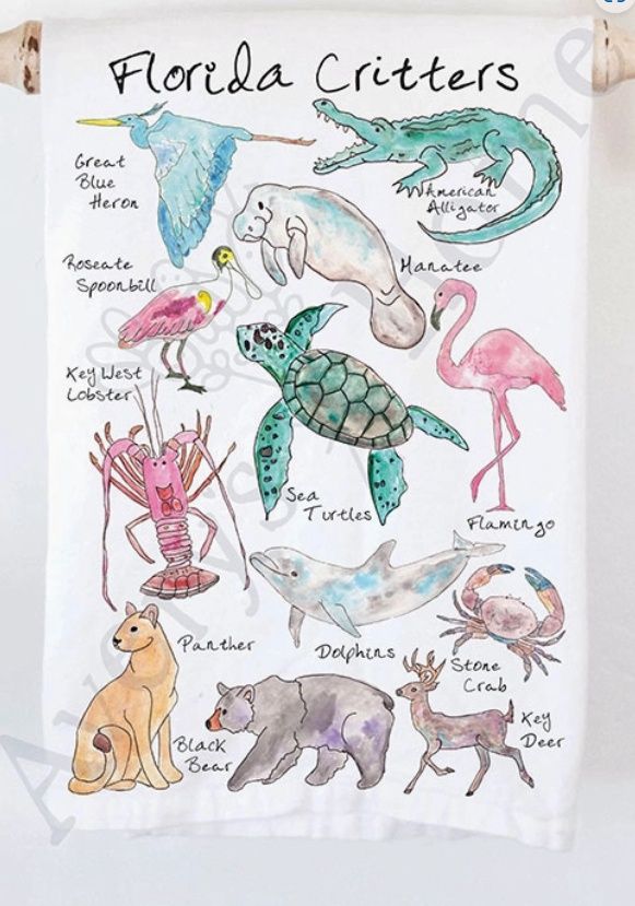 Florida Critters with Manatee &amp; Alligator - Tea Towel