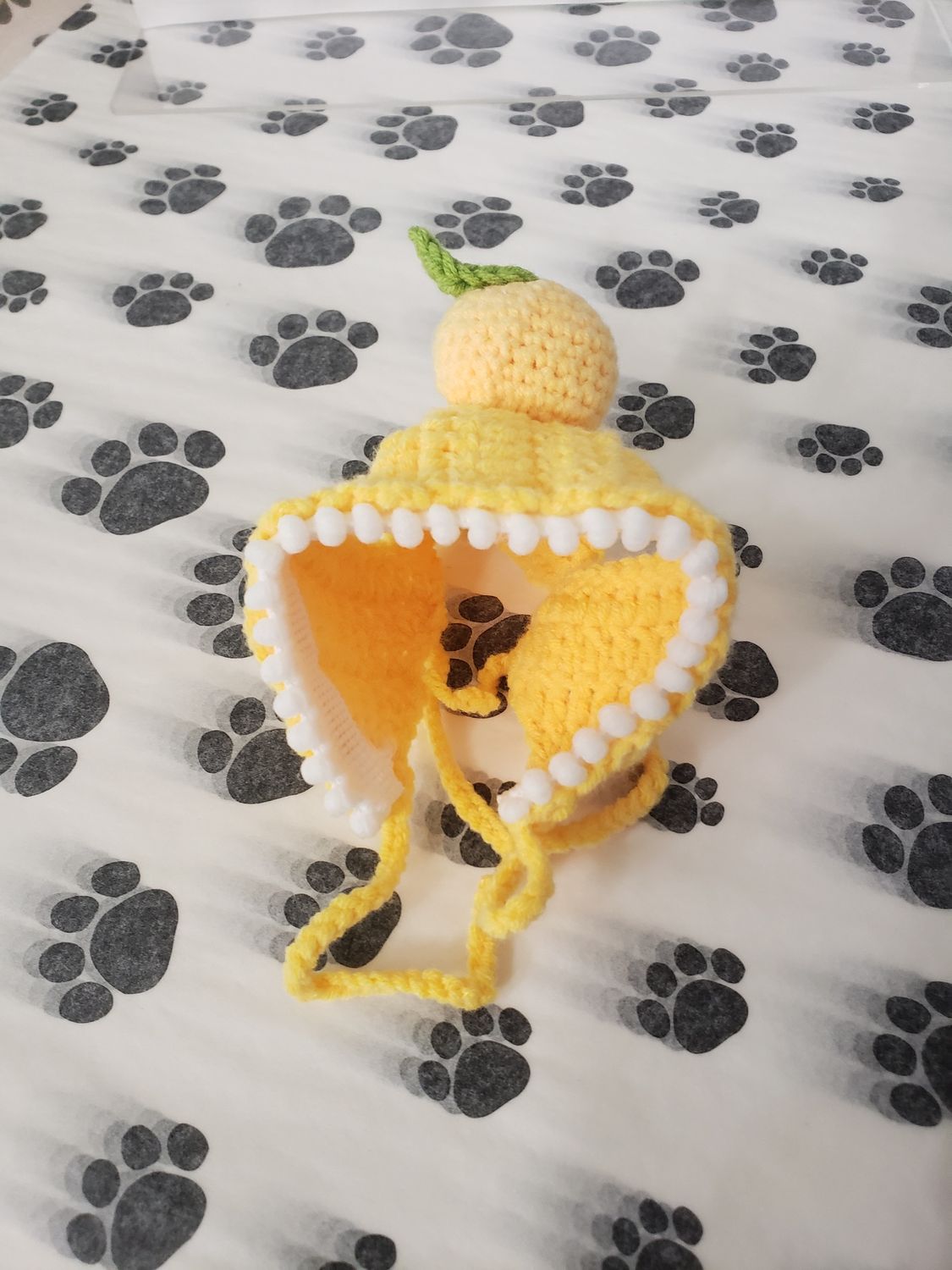 Crochet Fruit Cat Hat