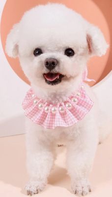 Pink Plaid with Faux Pearl Necklace