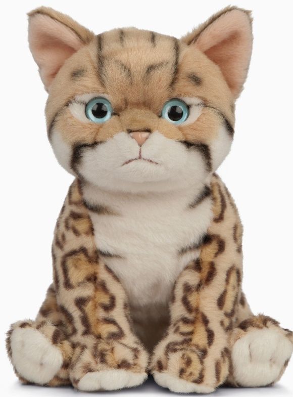 Bengal Kitten Plush Toy