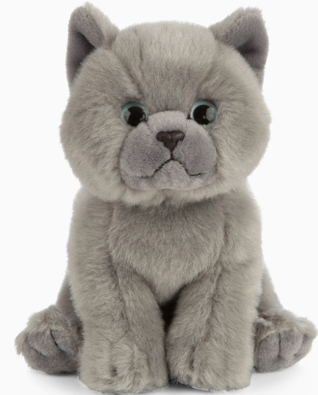 British Grey Shorthair Plush Toy