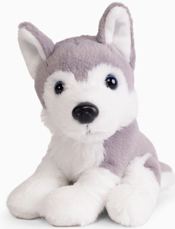 Little Husky Plush Toy