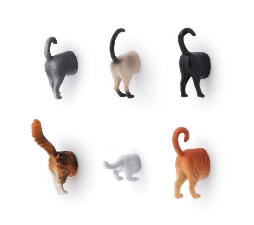 Cat Butt Magnet Set (Set of 6) by Kikkerland