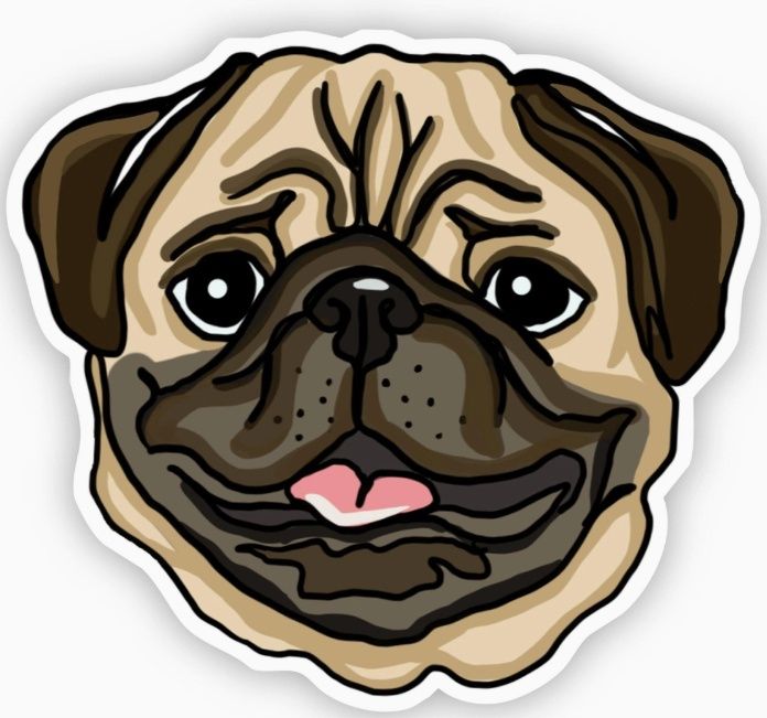 Pug Dog Sticker