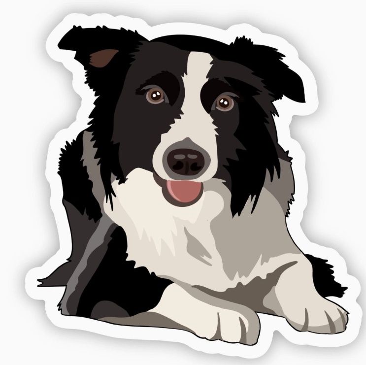 Border Collie Sticker