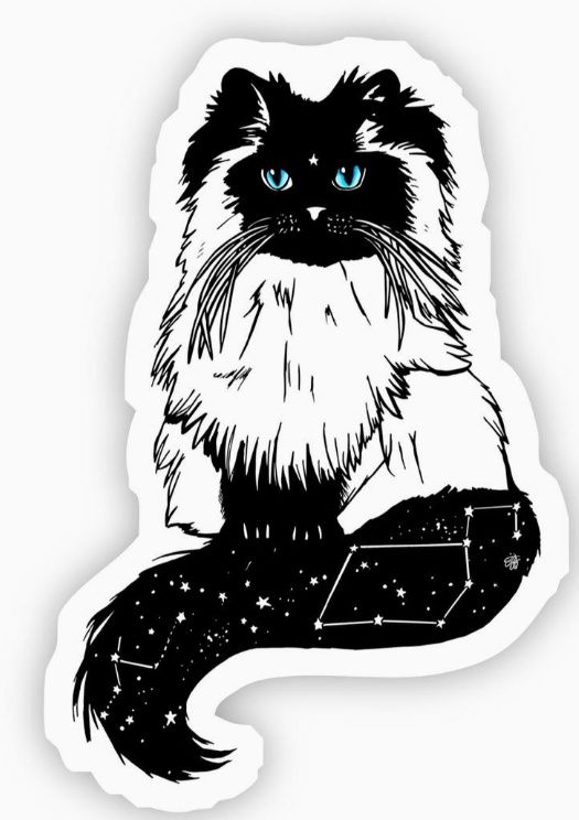 White Cat with Blue Eyes Sticker