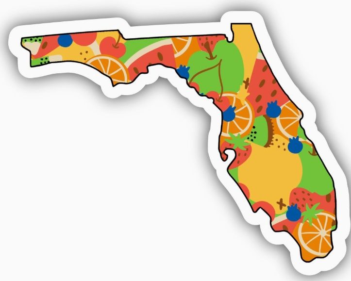 Florida Fruit Pattern Sticker