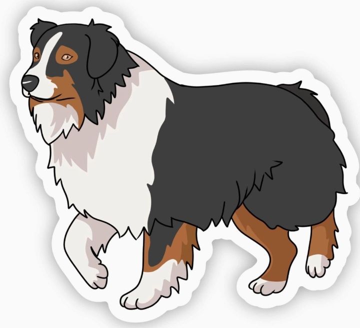 Australian Shepherd Dog Sticker