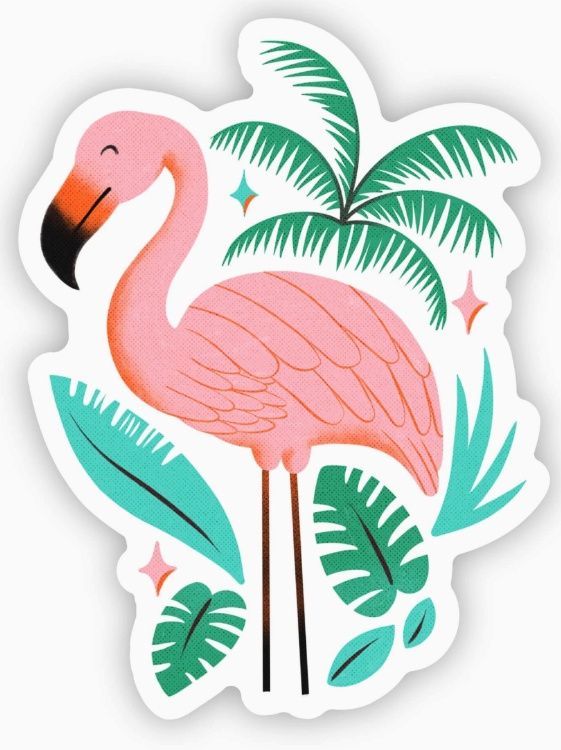 Spring Flamingo