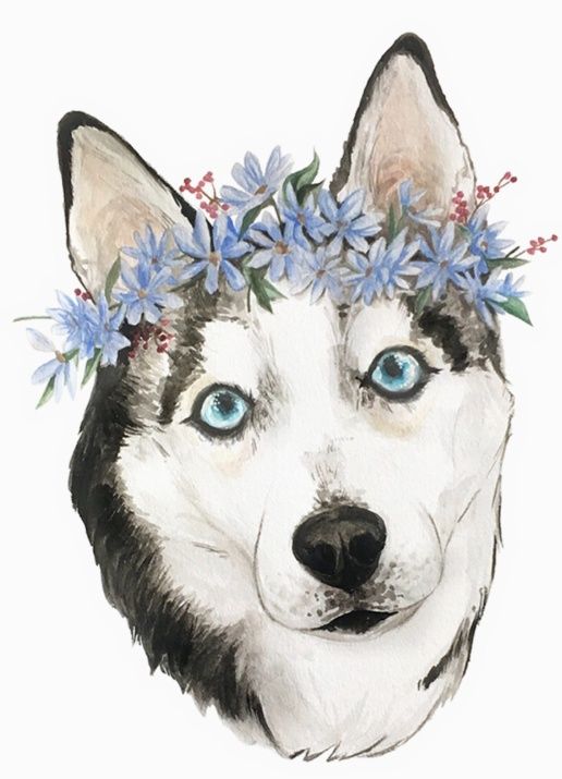 Flower Crown Husky Sticker