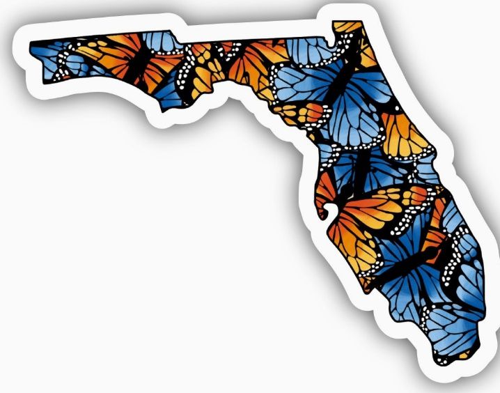 Florida Butterfly Pattern Sticker