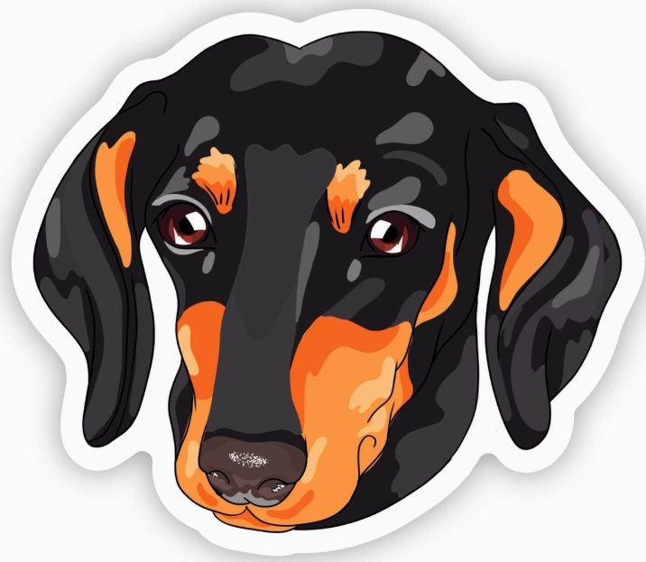 Dachshund Wiener Dog