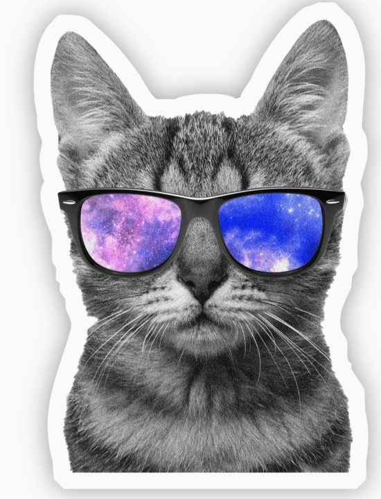 Cat Sunglasses Sticker
