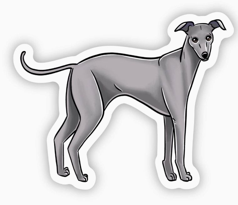 Greyhound Sticker