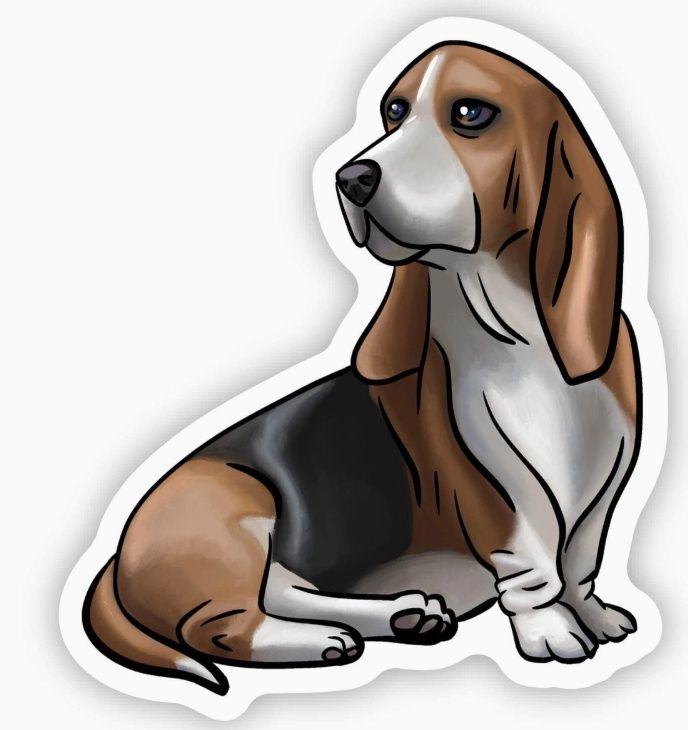 Basset Hound Sticker