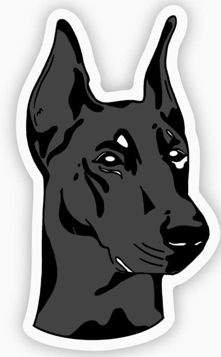 Doberman Dog Sticker