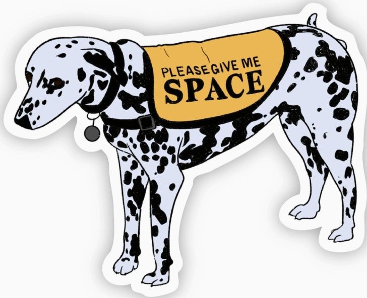 Please Give Me Space Dalmatian Sticker