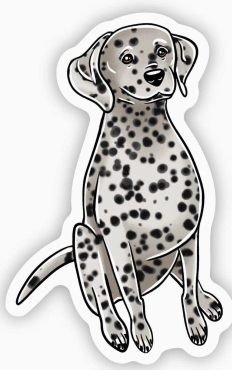 Dalmatian Sticker