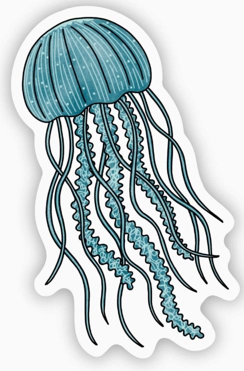 Teal Squid Sticker