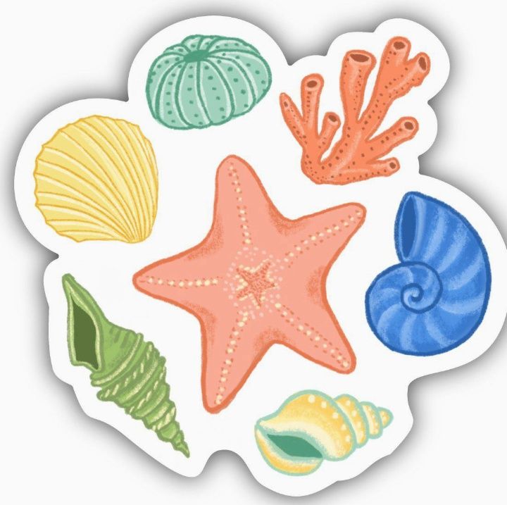 Starfish &amp; Shells Sticker