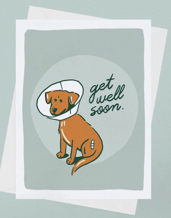 Get Well Soon Dog Card