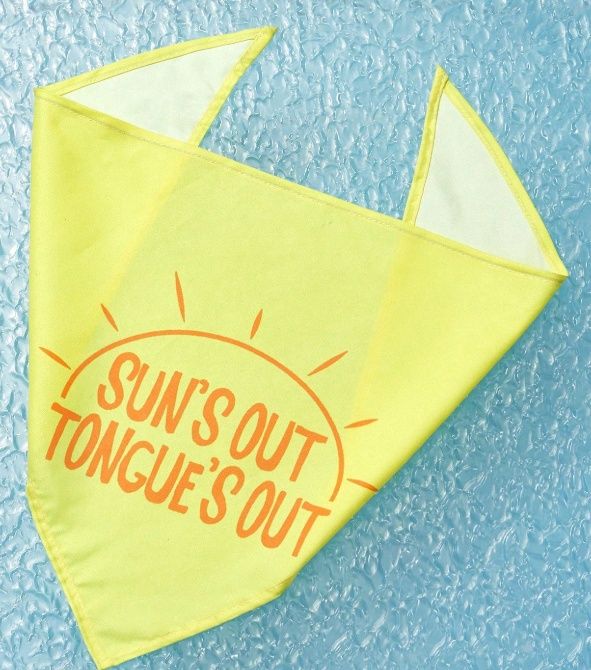 Summer themed Dog Bandana, Design: Sun&#39;s Out - Yellow