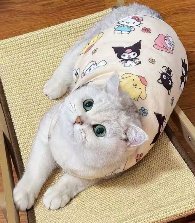 Sanrio Hello Kitty Shirt