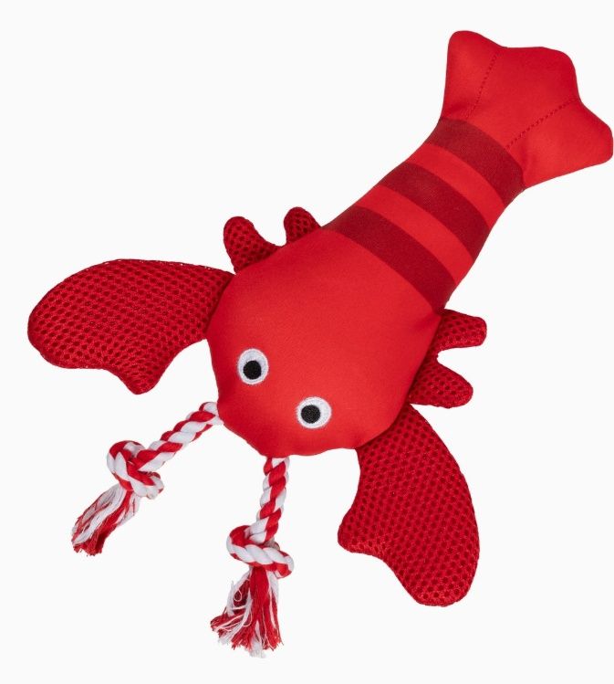 Feeling Clawsome Floating Dog Toy