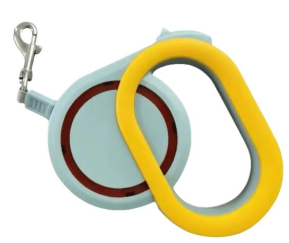 1pc Retractable All-In-One Automatic 5m Pet Leash, Colour: Green