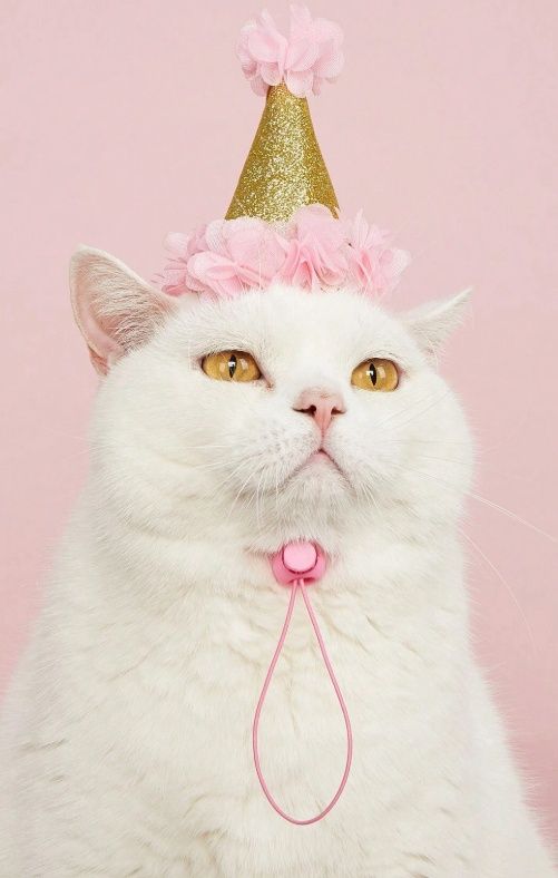 Adjustable Birthday Party Hat
