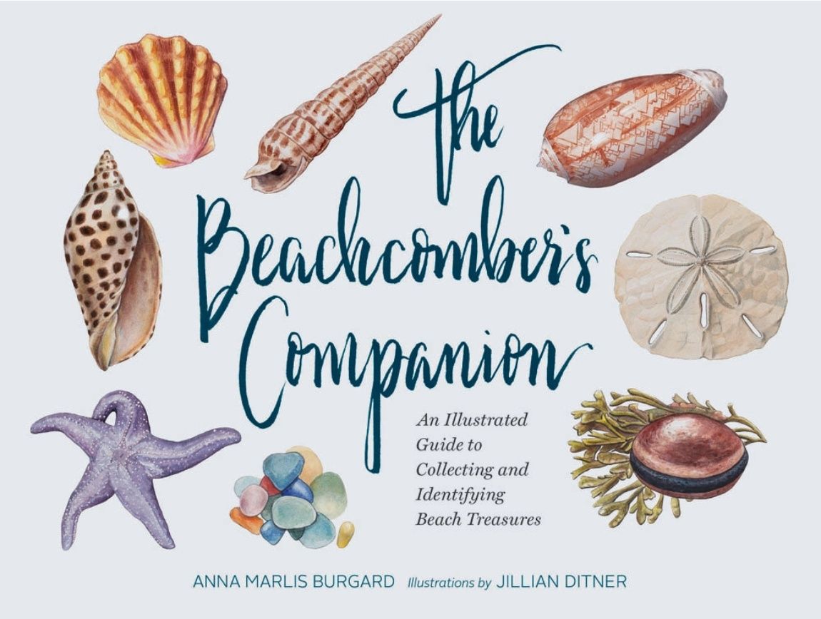 The Beachcomber&#39;s Companion