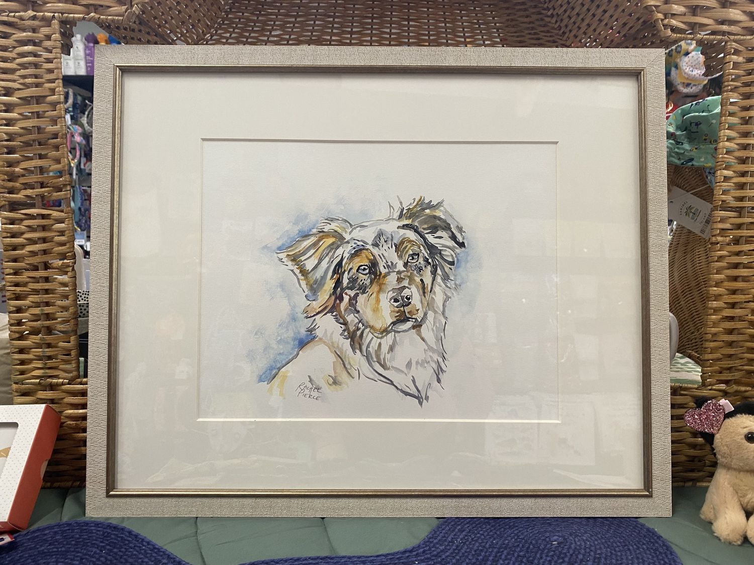 Australian Shepherd Original Watercolor