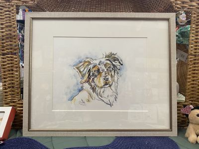 Australian Shepherd Original Watercolor