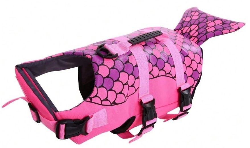 Shark Dog  Lifejacket