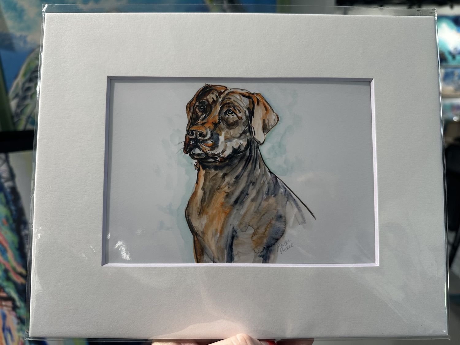 Rachel Pierce &quot;Sitting Lab&quot; Matted Print